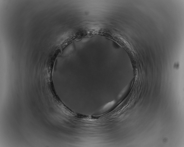 X0000098150661200804171614