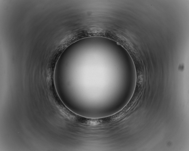 X0000098150662200804171614