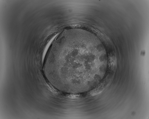 X0000098150664200804171614