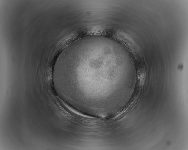 X0000098150665200804171614