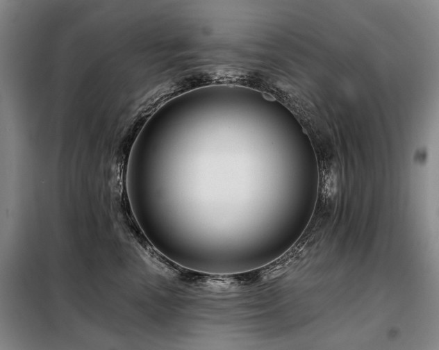 X0000098150666200804171614
