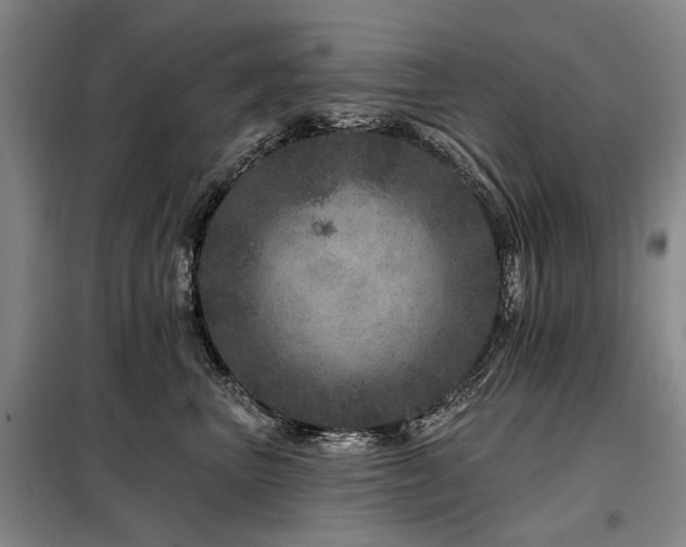 X0000098150667200804171614