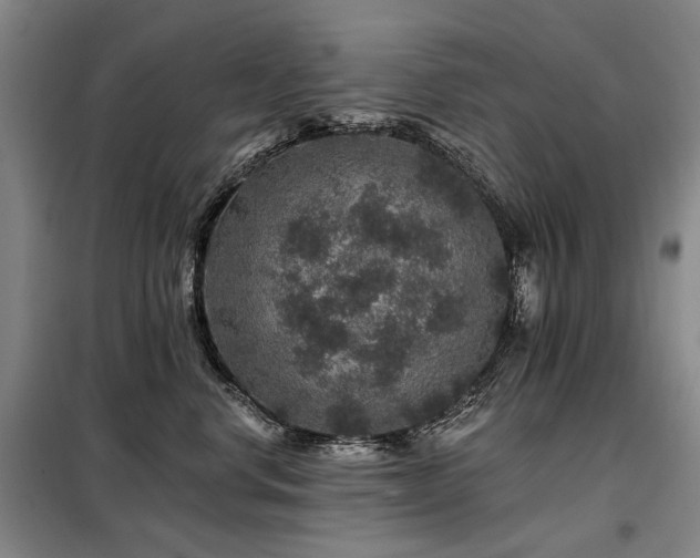 X0000098150668200804171614