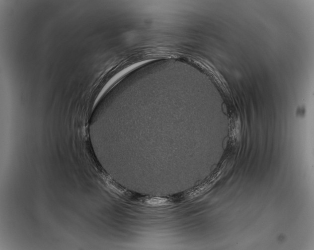 X0000098150669200804171614