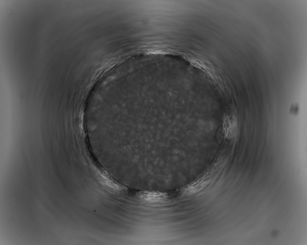 X0000098150670200804171614