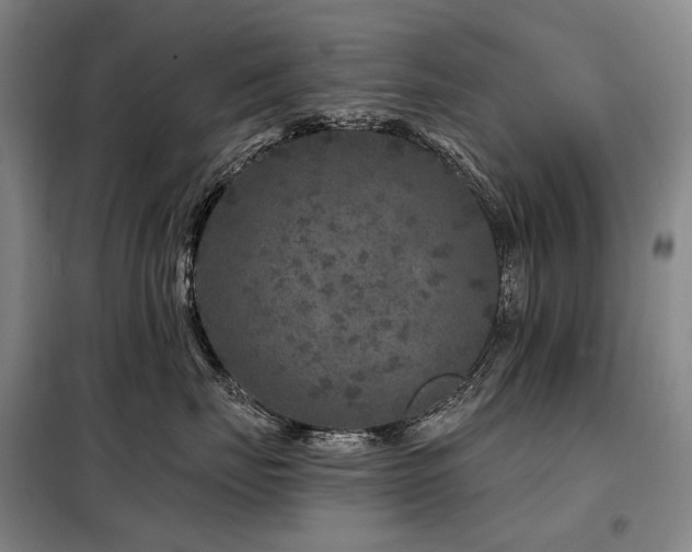 X0000098150671200804171614