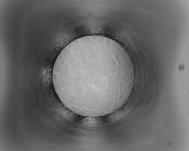 X0000098150672200804171614