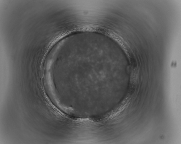 X0000098150673200804171614