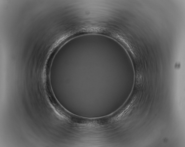 X0000098150674200804171613