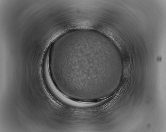 X0000098150677200804171613