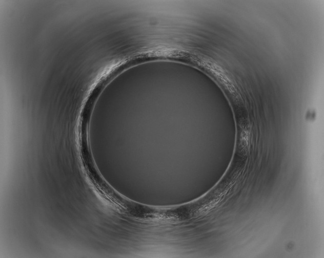 X0000098150678200804171613