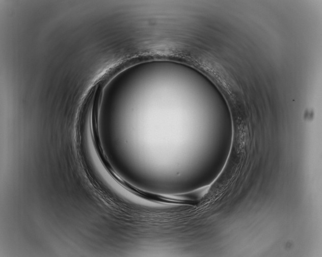 X0000098150680200804171613