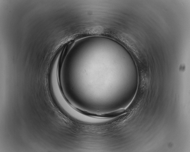 X0000098150681200804171613