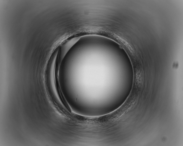 X0000098150682200804171613