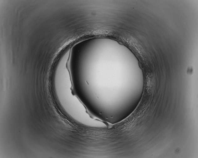 X0000098150684200804171613