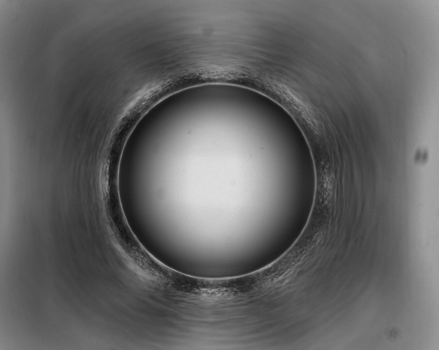X0000098150686200804171613