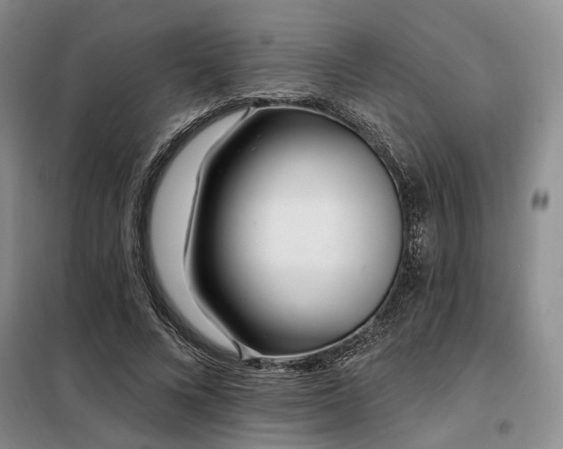 X0000098150688200804171613