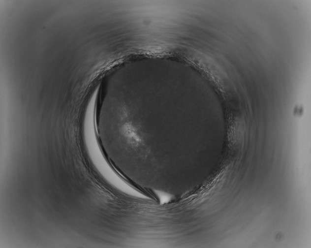 X0000098150689200804171613