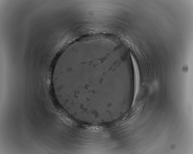 X0000098150691200804171613