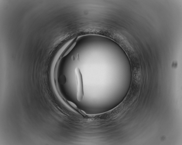 X0000098150692200804171613