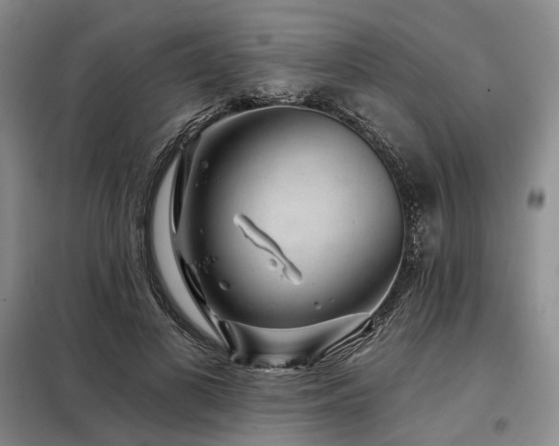X0000098150693200804171613