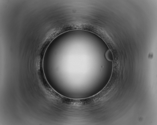 X0000098150694200804171613