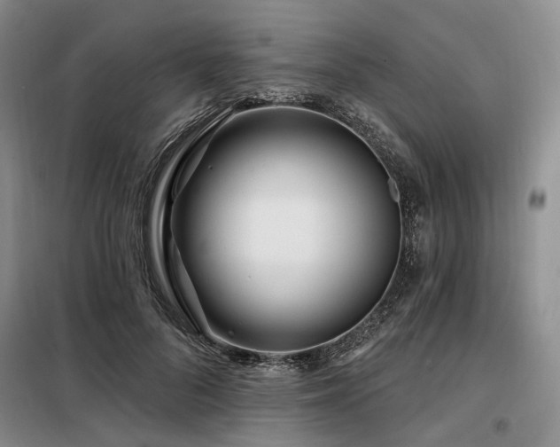 X0000098150696200804171613