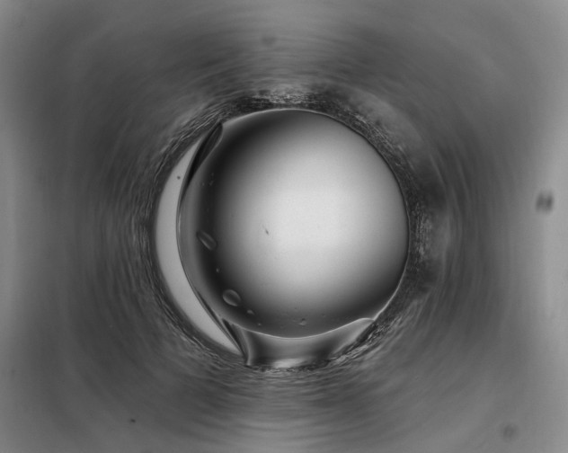 X0000098150697200804171613