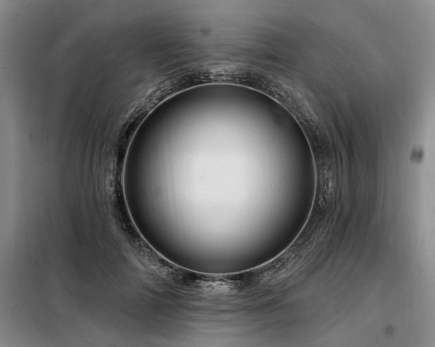 X0000098150698200804171613
