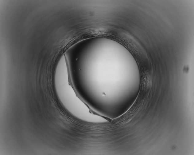 X0000098150700200804171613