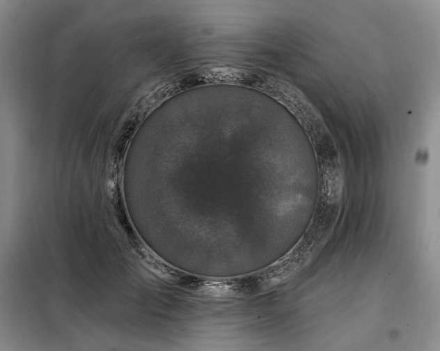 X0000098150701200804171613