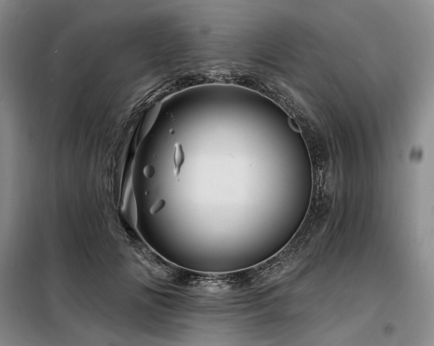 X0000098150702200804171613
