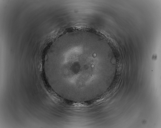 X0000098150703200804171613
