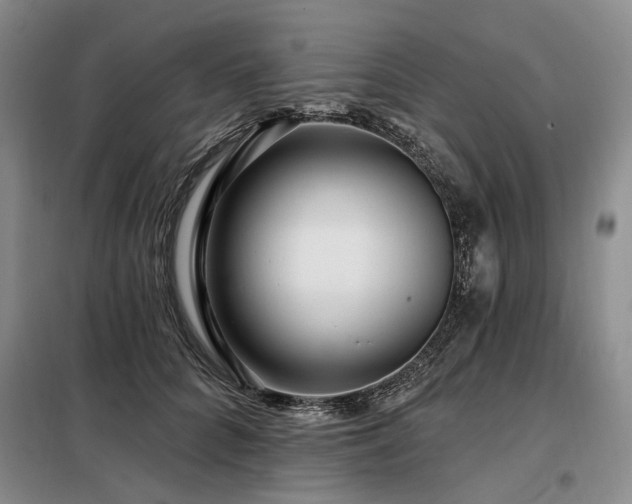 X0000098150704200804171613