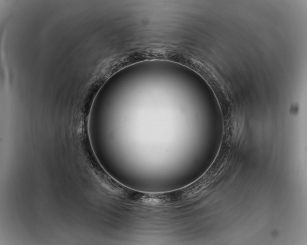 X0000098150706200804171613