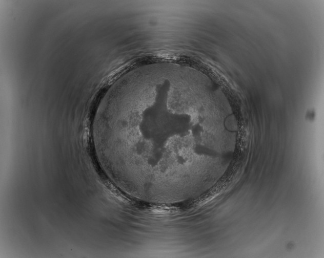 X0000098150707200804171613