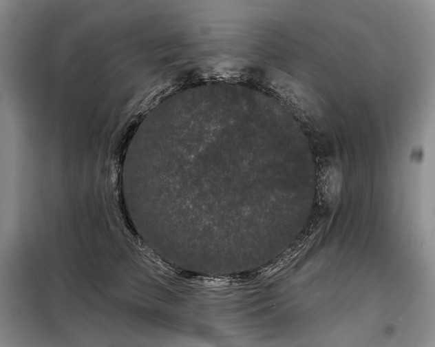 X0000098150709200804171613