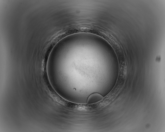 X0000098150710200804171613