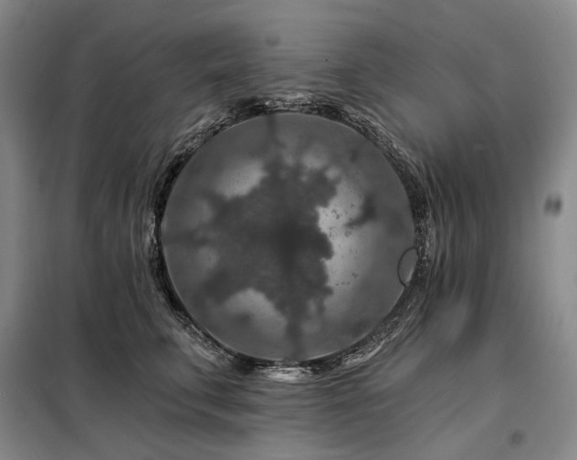X0000098150711200804171613
