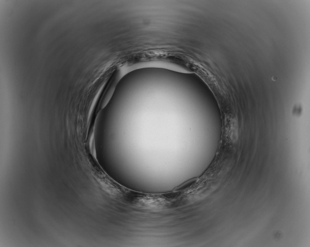X0000098150712200804171613