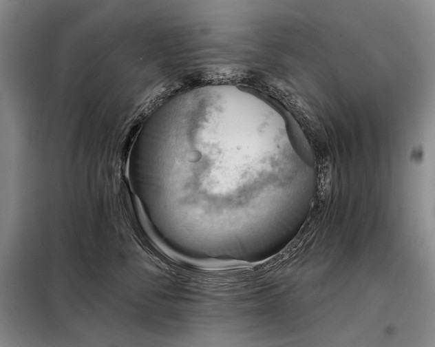 X0000098150716200804171613