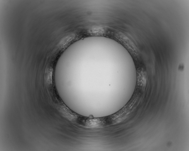 X0000098150717200804171613