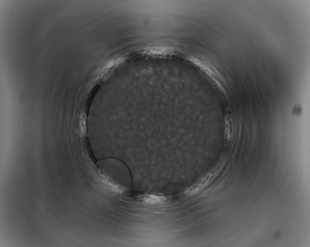 X0000098150718200804171613