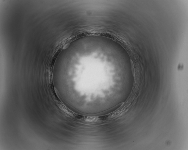 X0000098150720200804171613
