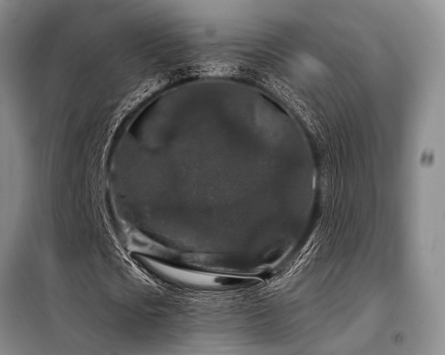 X0000098150721200804171612