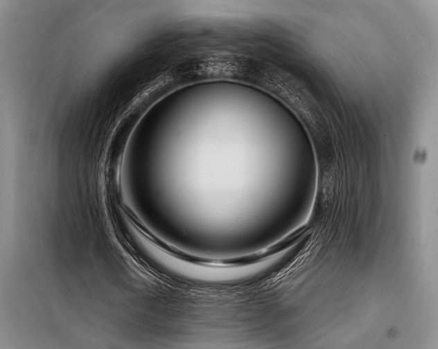X0000098150722200804171612