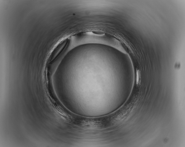 X0000098150723200804171612