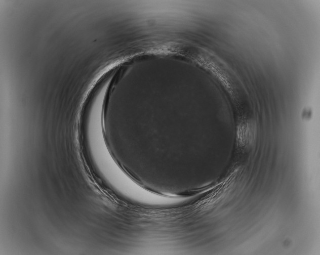 X0000098150724200804171612
