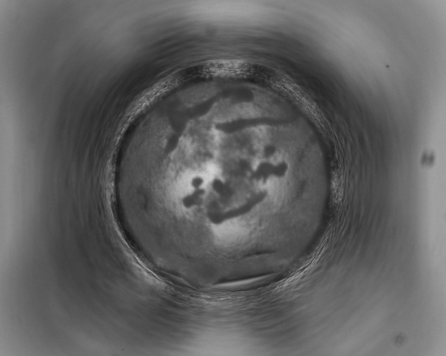 X0000098150725200804171612