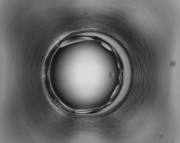 X0000098150726200804171612